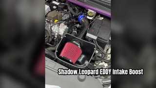 GAC Trumpchi Bayangan Macan Tutul 1.5T